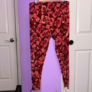 LuLaRoe Tall and Curvy 2 Teddy Bear all over print leggings